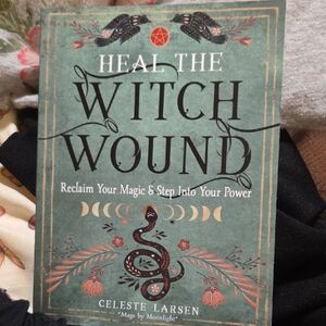 Heal The Witch Wound Book